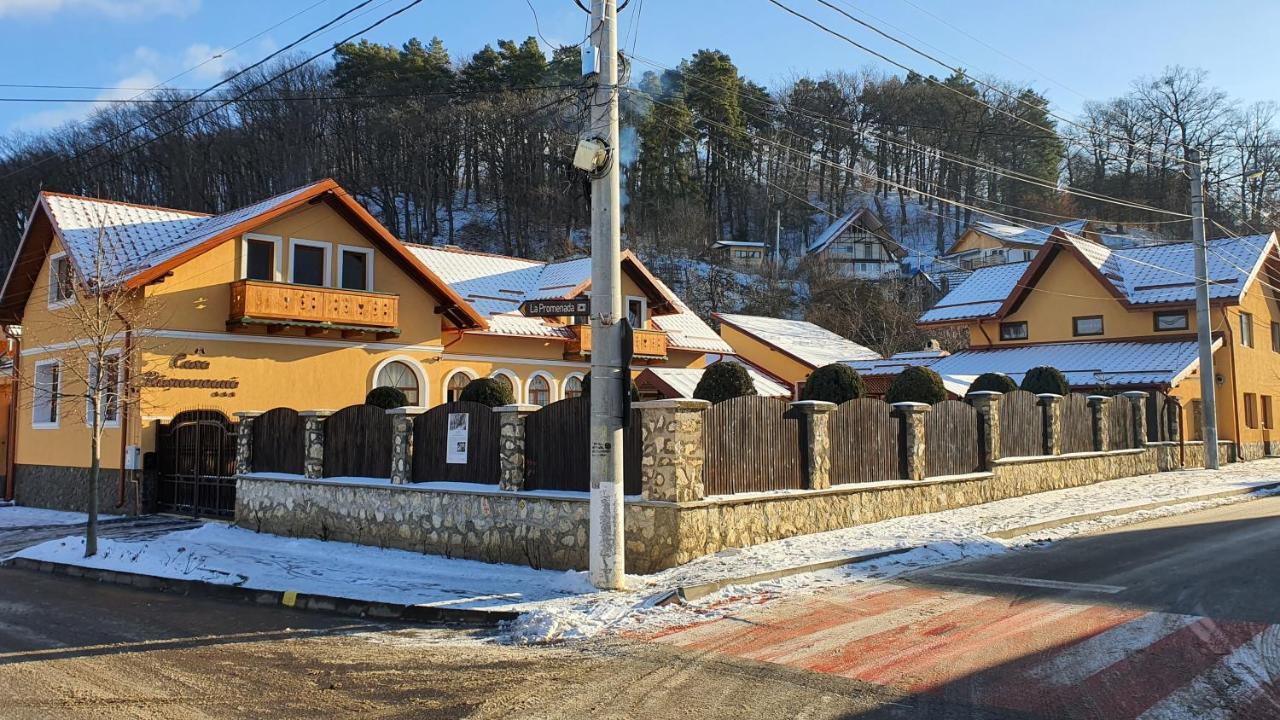 Casa Rasnoveana Ngoại thất bức ảnh